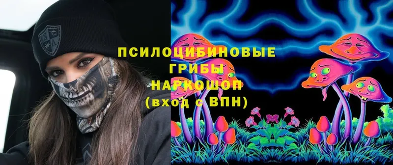 Псилоцибиновые грибы Cubensis  закладки  Тимашёвск 