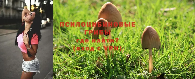 Псилоцибиновые грибы Magic Shrooms Тимашёвск